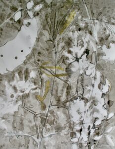 sapnje1